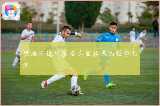 樊振东德甲赛场尽显猛虎式强势打法