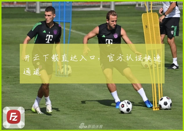 开云下载直达入口,官方认证快速通道